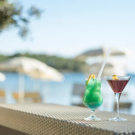 Отель Crvena Luka 4*
